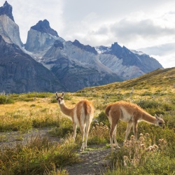 La Patagonie Chilienne